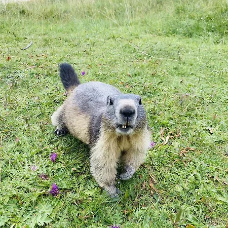 La Madeleine Jausiers